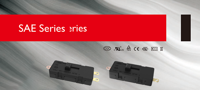 Slide Switch SAE Series