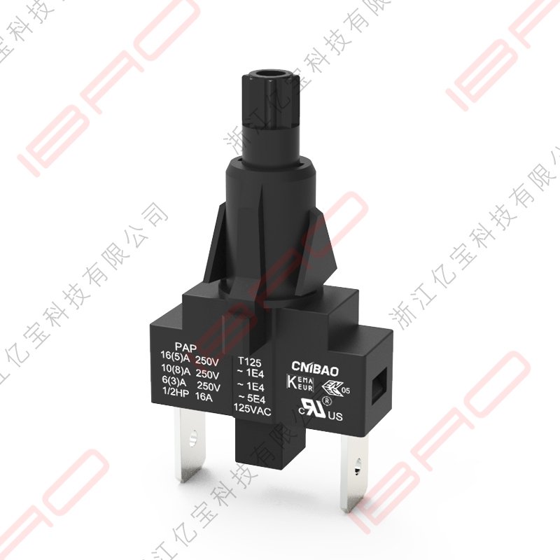 PAP Series High Operating Force Push Button Switch 2 Pin Button Switch