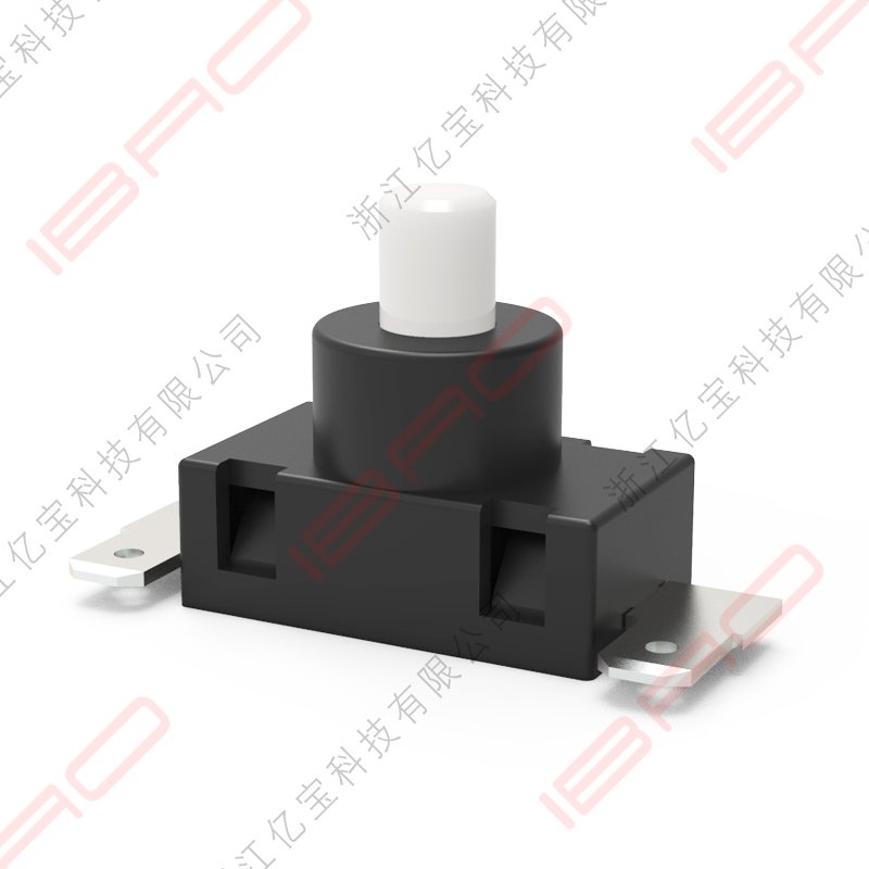 PAQ Series Push Button Switch Small Button Power Switch